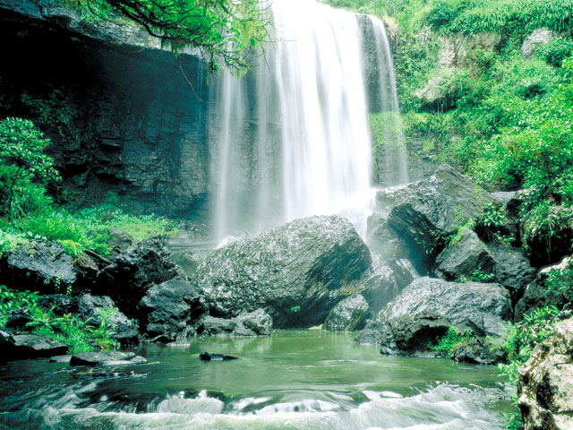tropics and great barrier reef waterall