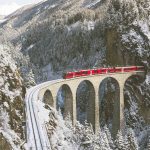 Swiss Half Fare Card