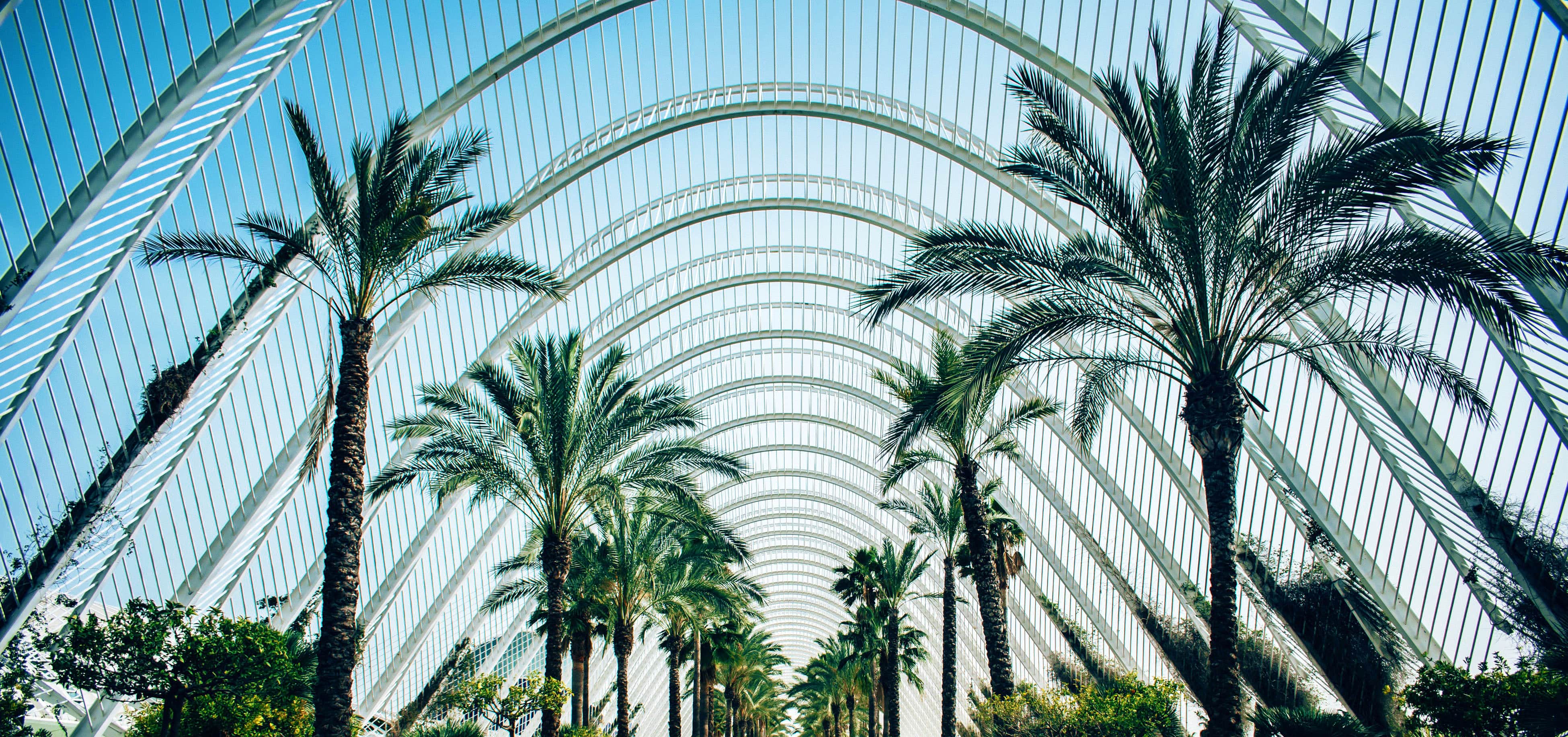 Barcelona to Valencia by train