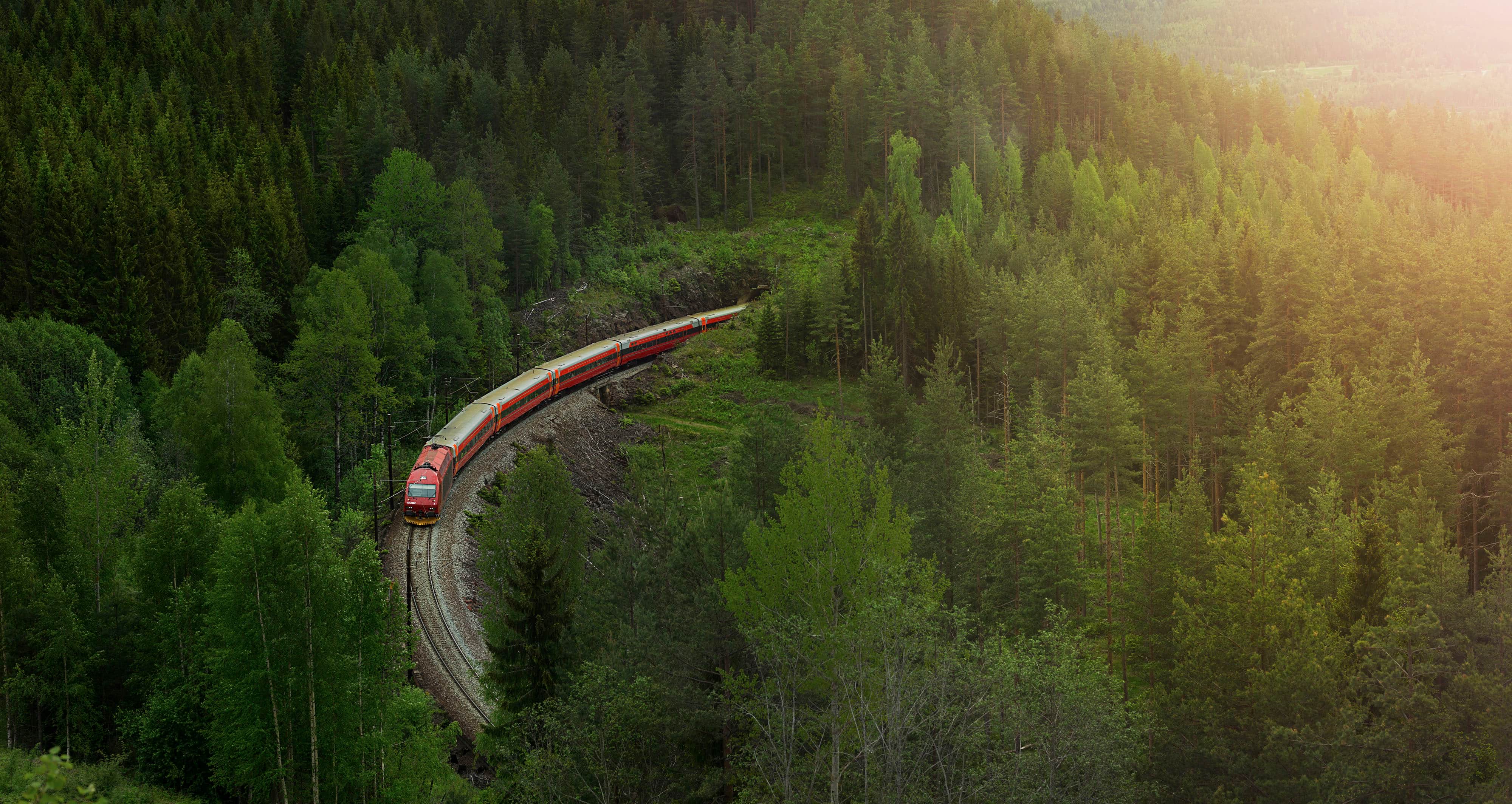 Oslo to Bergen by train