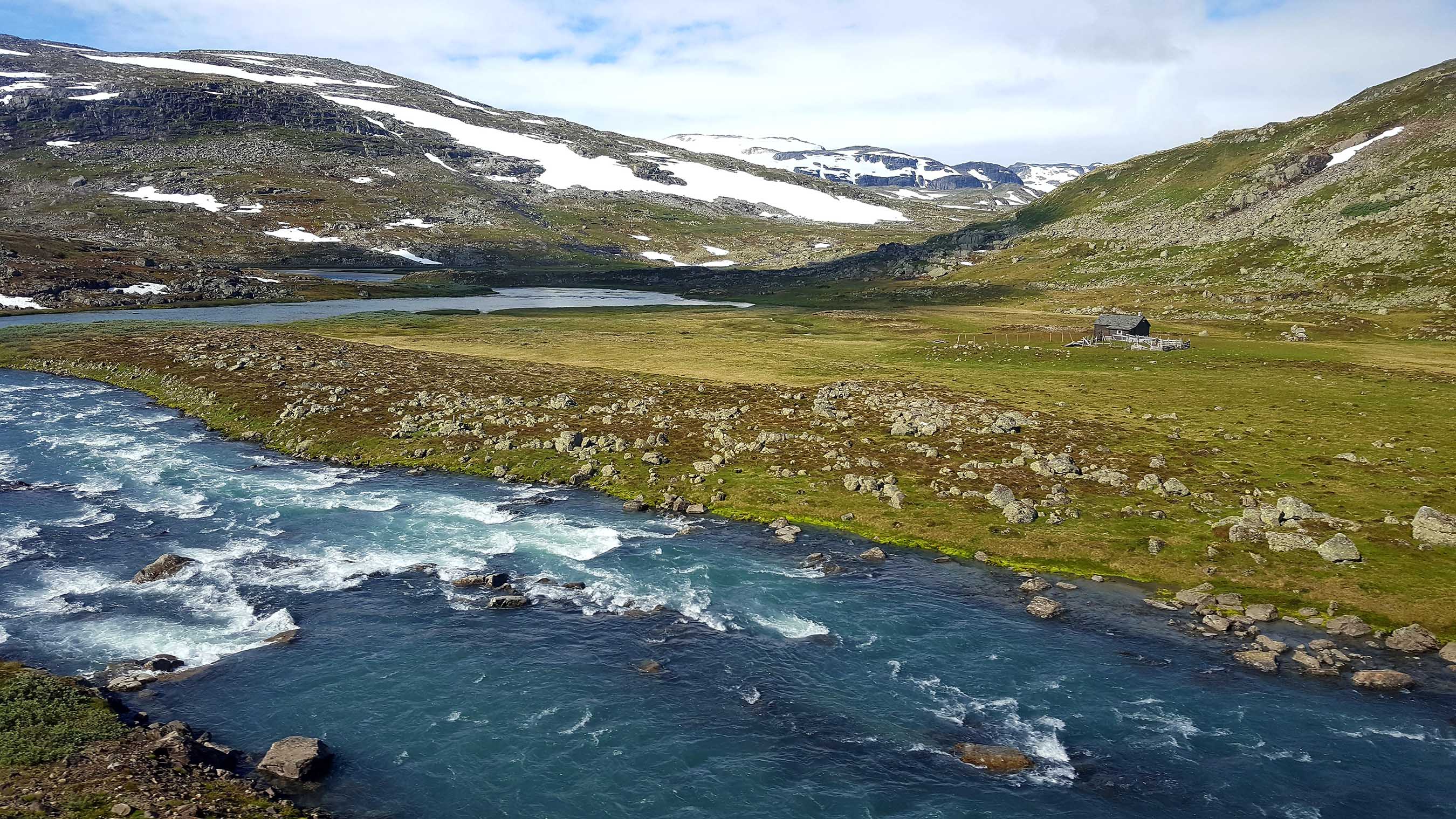 Flåm to Myrdal by train